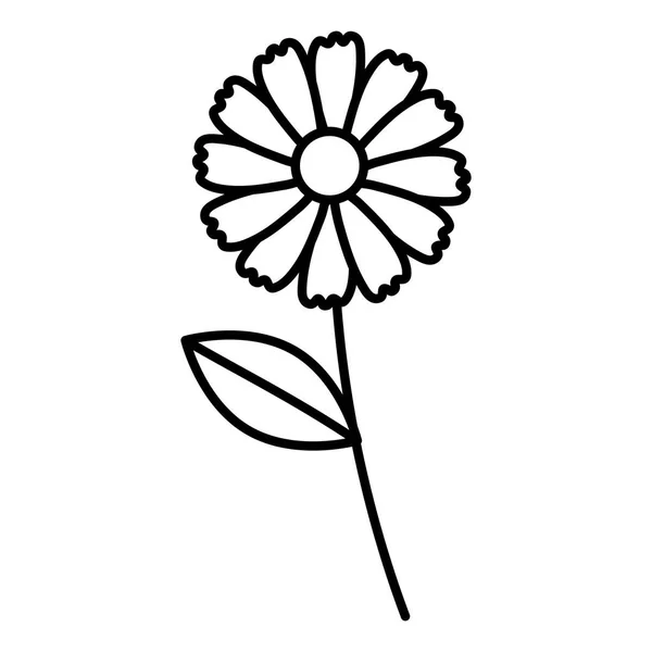 Beautiful flower drawing monochrome — Stock Vector