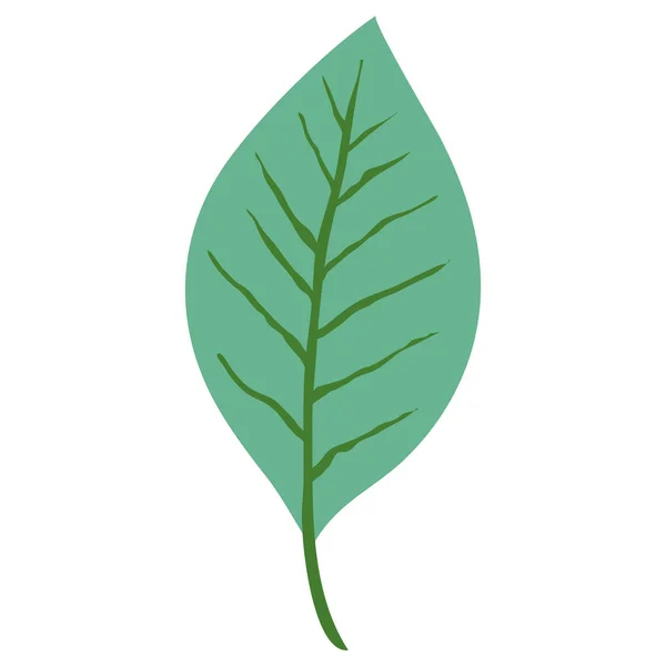 Frunze pictogramă decorativă unică — Vector de stoc