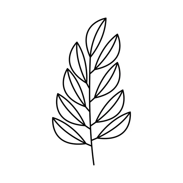 Zweig Blätter linear auf weißem Hintergrund — Stockvektor