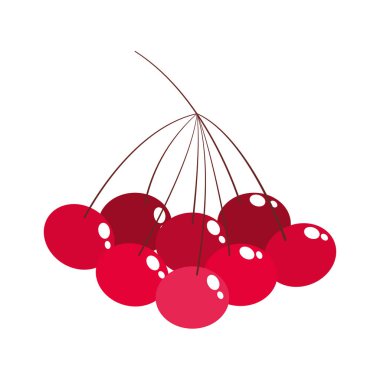 beyaz arka planda demet kiraz meyve