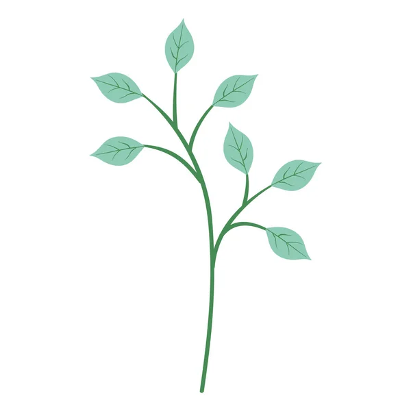 Rama con hojas icono decorativo — Vector de stock