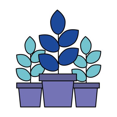 beyaz arka plan üzerinde üç saksı bitkileri