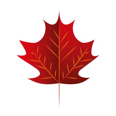 beyaz arka plan üzerinde sonbahar yaprağı doğa