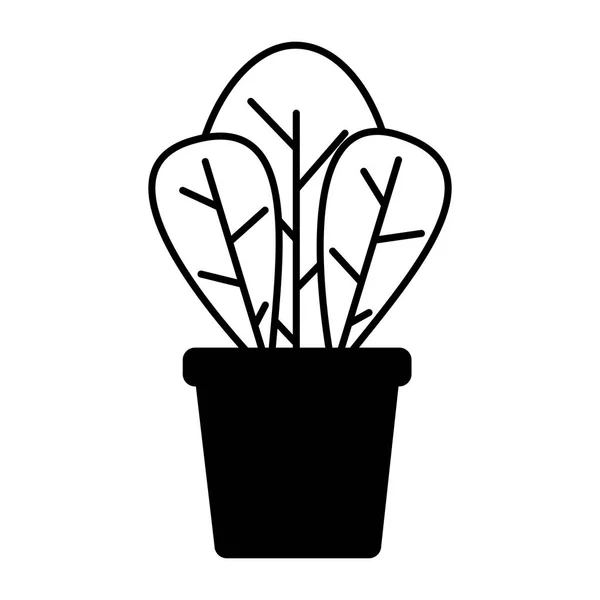 Macetas decoración de plantas — Vector de stock