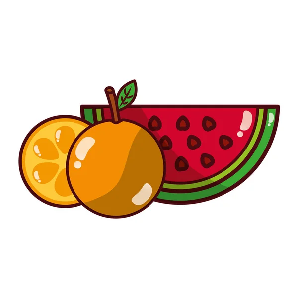 과일 신선한 유기 — 스톡 벡터