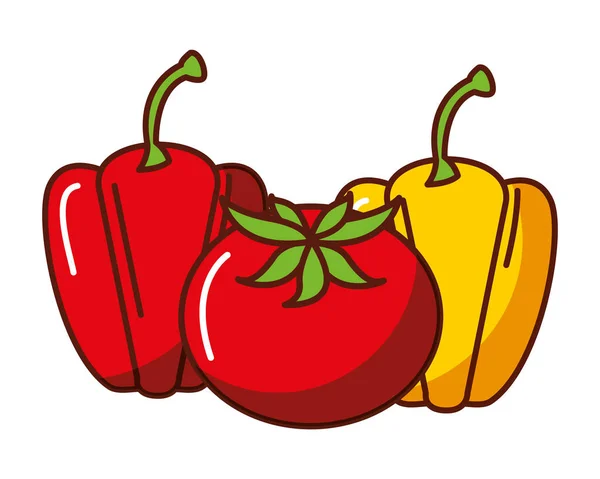 Peperoni e pomodoro cibo messicano tradizionale — Vettoriale Stock