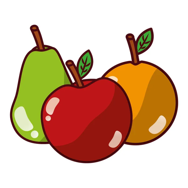 Frutas frescas ecológicas — Vector de stock