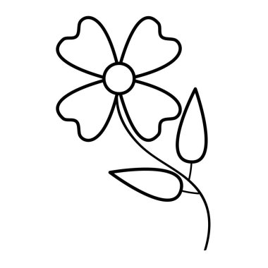 çiçek doğal süsleme