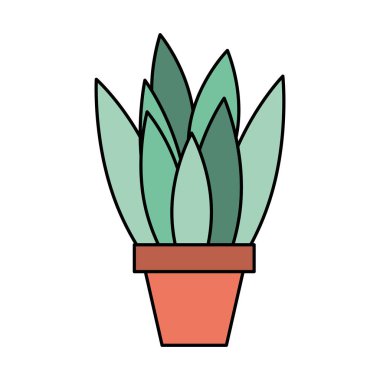 Saksılı bitki doğal dekorasyon izole tasarım