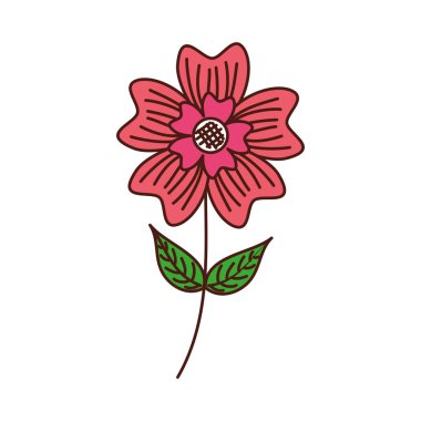 periwinkle çiçek yaprağı yaprakları kök doğa bitki