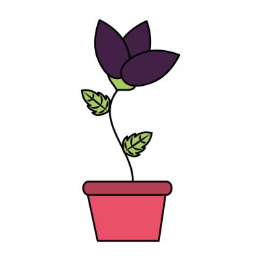 saksı çiçek dekorasyon