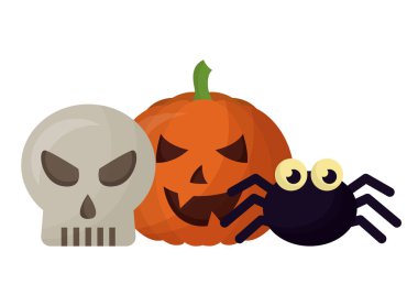 kafatası ve örümcek ile halloween kabak