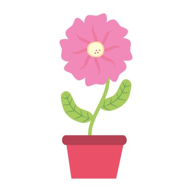 saksı çiçek dekorasyon