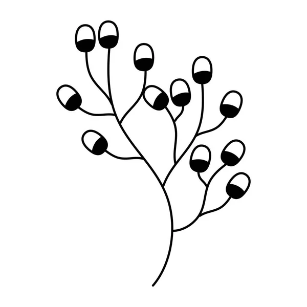 Branch berries fruit — Stock Vector