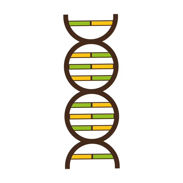 Генетическая дна науки — стоковый вектор