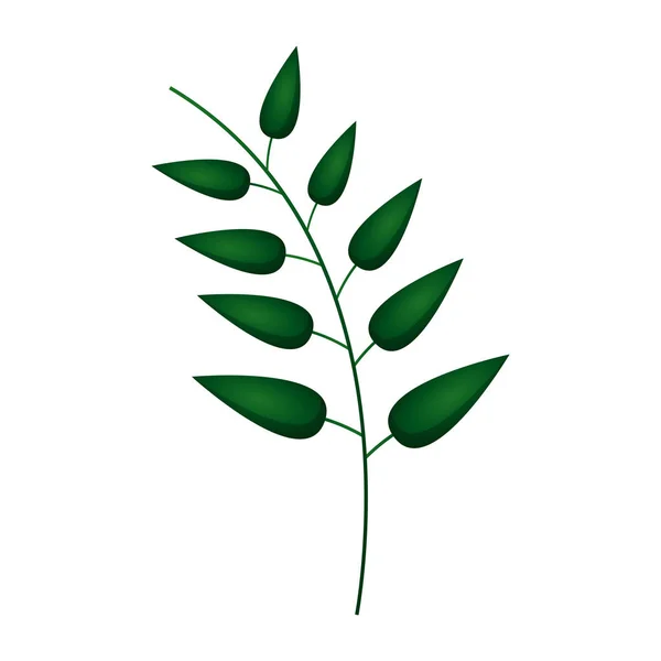 녹색 나뭇가지 잎 — 스톡 벡터