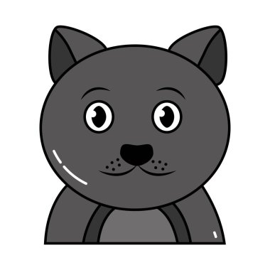 sevimli evcil hayvan kedi izole görüntü