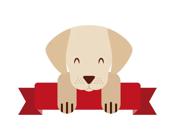 かわいいマスコット犬国内リボン — ストックベクタ