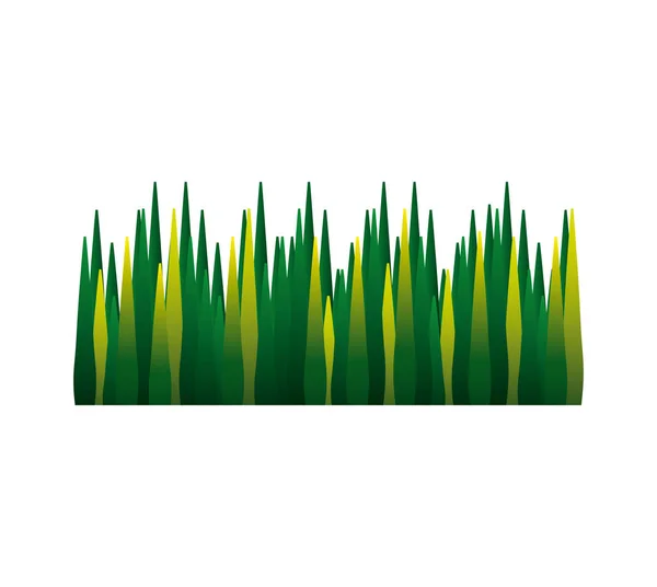 Natural grass isolated icon — Stock Vector