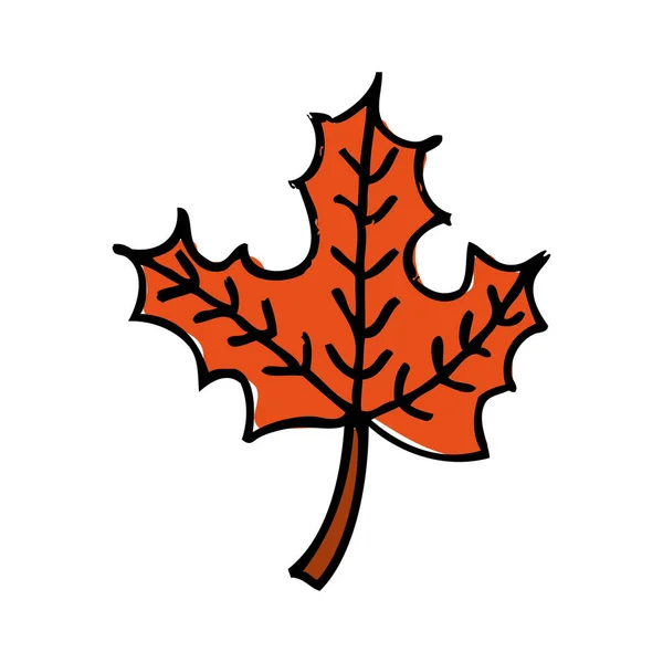 Herfst bladeren decoratie pictogram — Stockvector