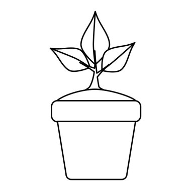 saksıda ekoloji yapraklar bitki