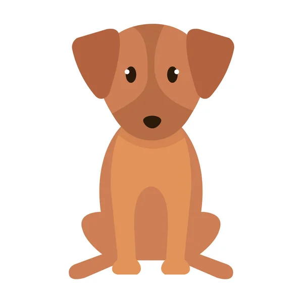 Drăguț câine animal de companie — Vector de stoc