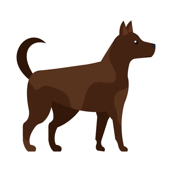 Schattige hond huisdier dier — Stockvector