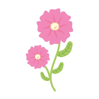 kök ve yaprakları ile çiçek