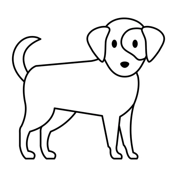 Söt hund sällskapsdjur — Stock vektor