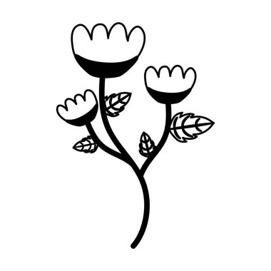 kök ve yaprakları ile çiçek