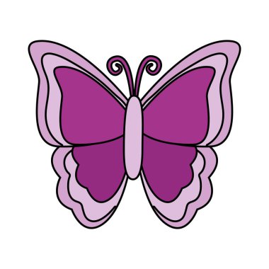 kelebek doğa böcek