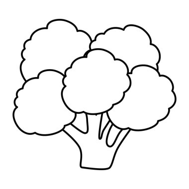 taze brokoli sebze simgesi