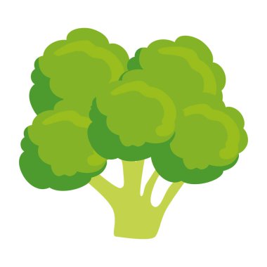taze brokoli sebze simgesi