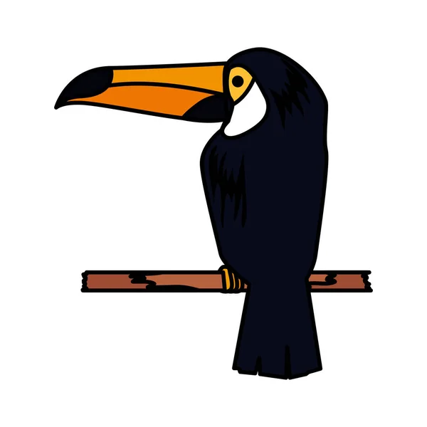 Schöner exotischer Tukan-Vogel — Stockvektor