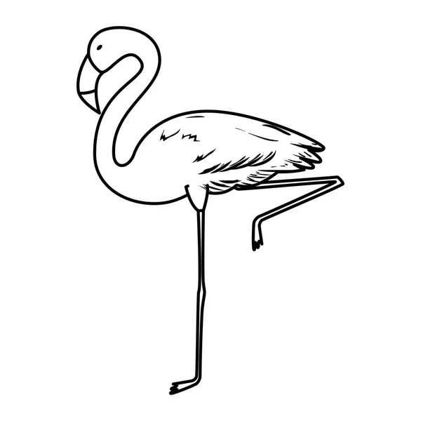 Exotické ikony vlámského ptactva — Stockový vektor