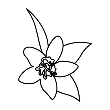 egzotik tropikal çiçek ve yapraklar