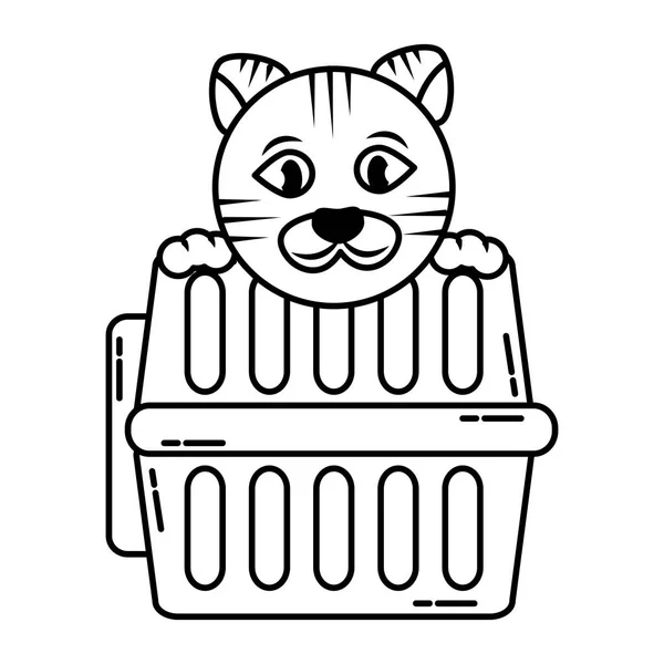 수송 상자와 귀여운 고양이 — 스톡 벡터