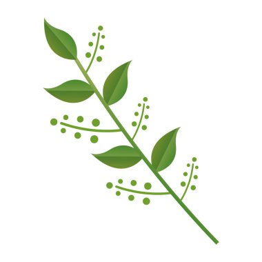 dal yaprakları çilek