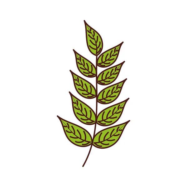 Cabang tanaman dengan daun alami kebun dedaunan - Stok Vektor