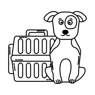 taşıma kutusu ile sevimli köpek evcil hayvan