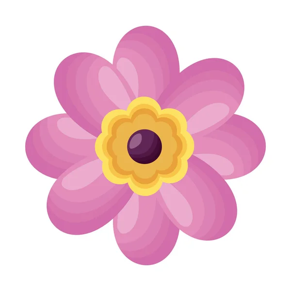 Pink flower decoration — Stock Vector