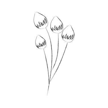 çiçek narin çiçek Tomurcuk çiçek