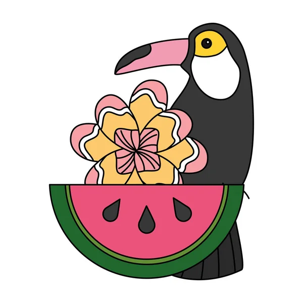 Toucan vattenmelon och blomma tropisk sommar — Stock vektor