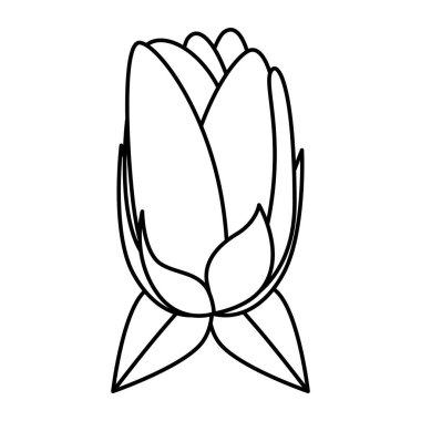 yaprakdekorasyon ile güzel gül