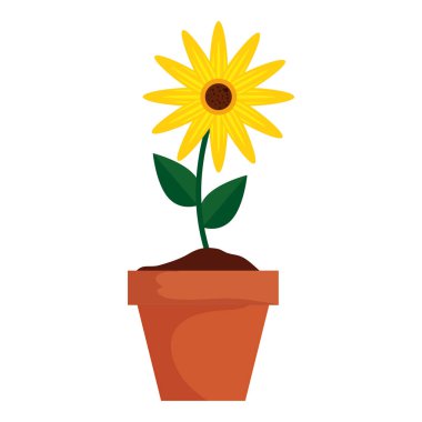 saksı simgesinde ayçiçeği