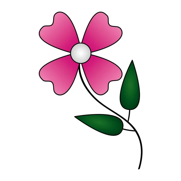 Blomma naturlig dekoration — Stock vektor