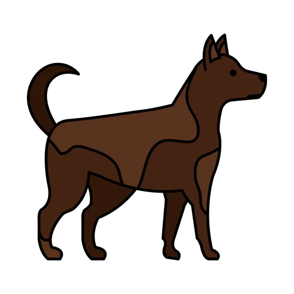 Simpatico cane animale domestico — Vettoriale Stock
