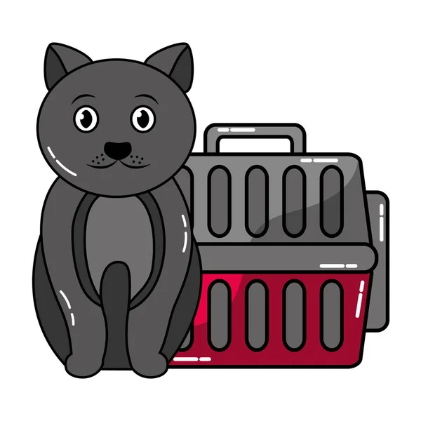 輸送ボックス付きかわいい猫 — ストックベクタ
