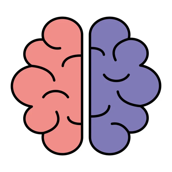 大脑人体器官图标 — 图库矢量图片