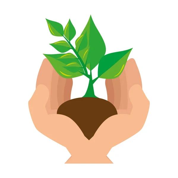 Hands protected ecology leafs plant — Stock Vector